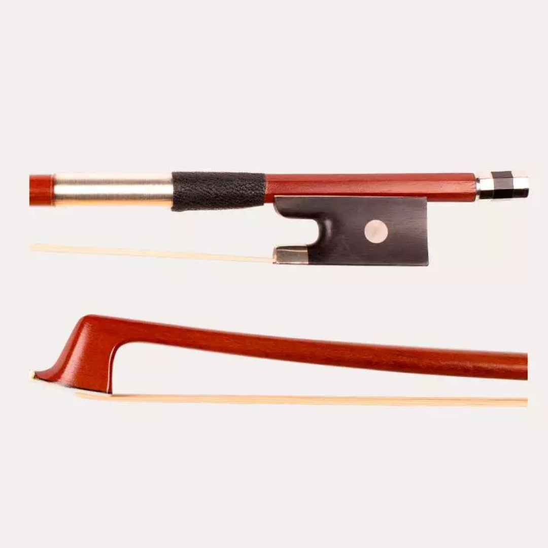 violin2