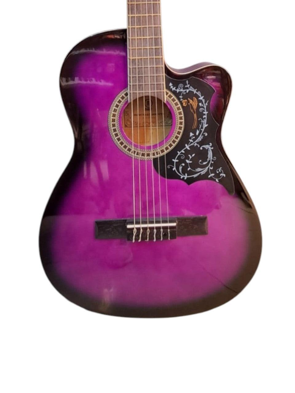 GUITARRAS ACUSTICA "BARRT" CON VARRILLA DE CALIBRACION 39" EC-309
