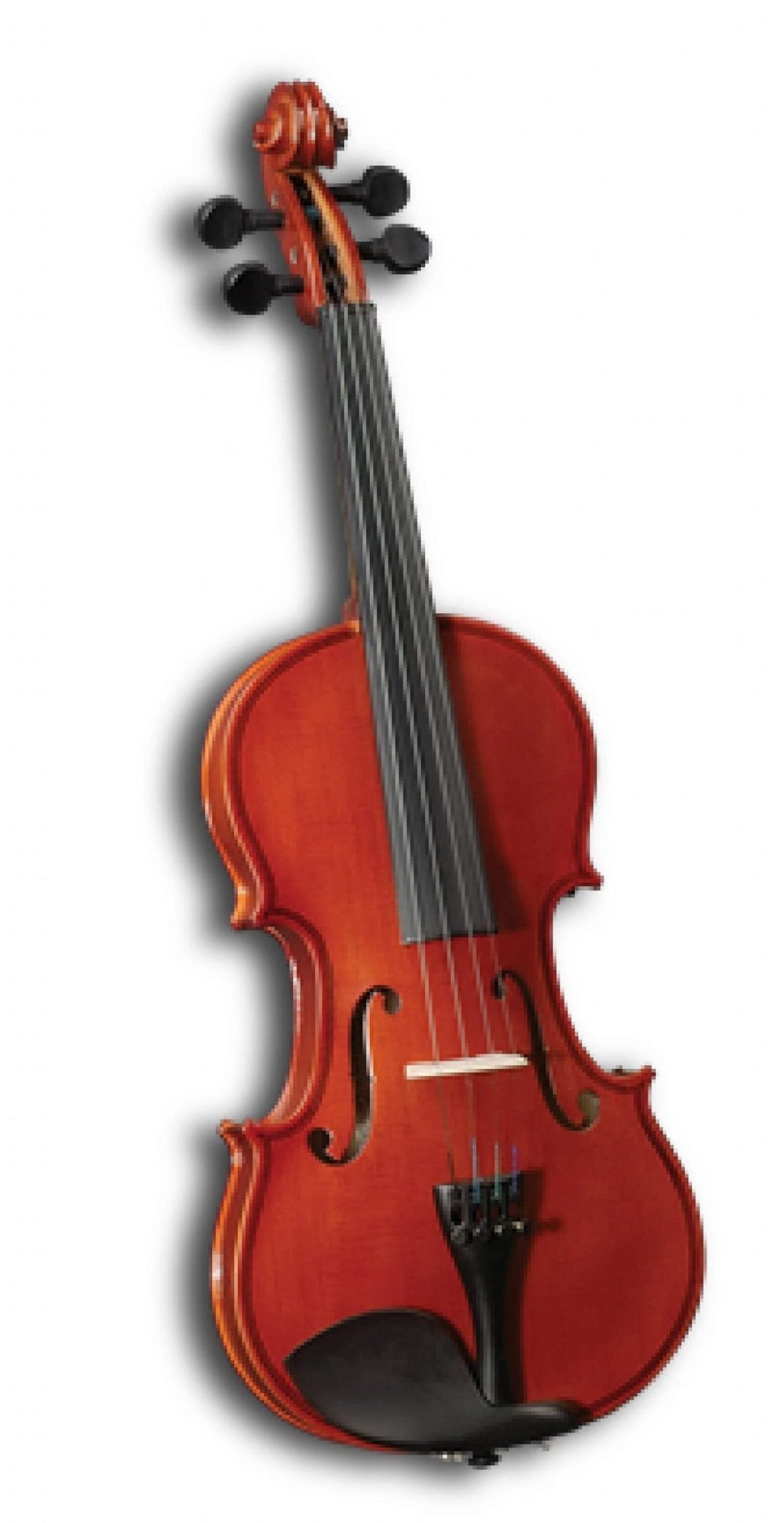 CERVINI15922