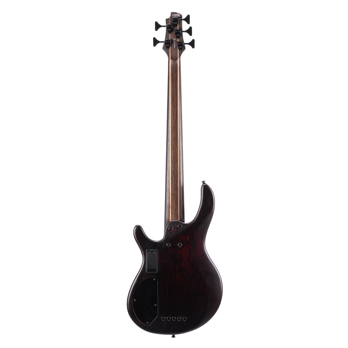 Cort B5 Element OPTB - Vista trasera